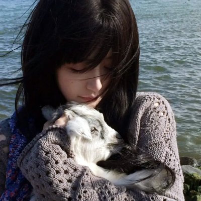 红杏出墙