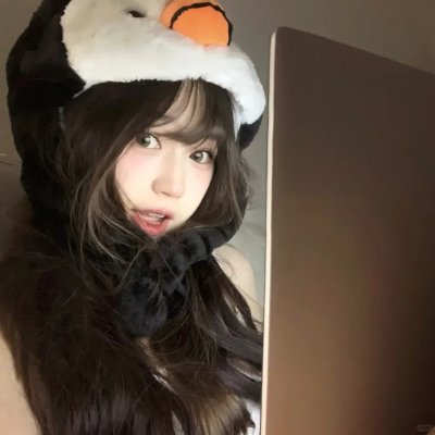 树袋熊